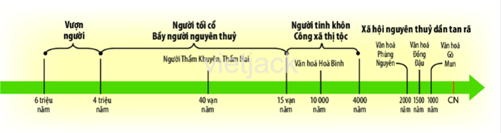 Dựa v&agrave;o h&igrave;nh tr&ecirc;n trục thời gian (trang 16), em h&atilde;y cho bết qu&aacute; tr&igrave;nh tiến h&oacute;a từ vượn th&agrave;nh người